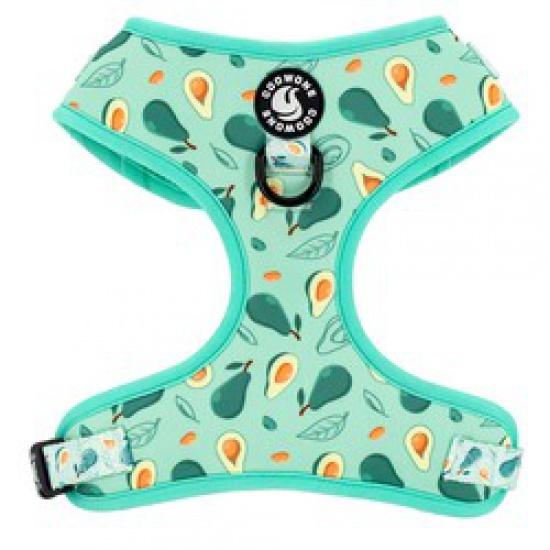 

Персонализированная дизайнерская шлейка для домашних животных. Регулируемый комплект шлейки для собак. Шлейка для собак на заказ. Неопреновый ошейник и поводок.