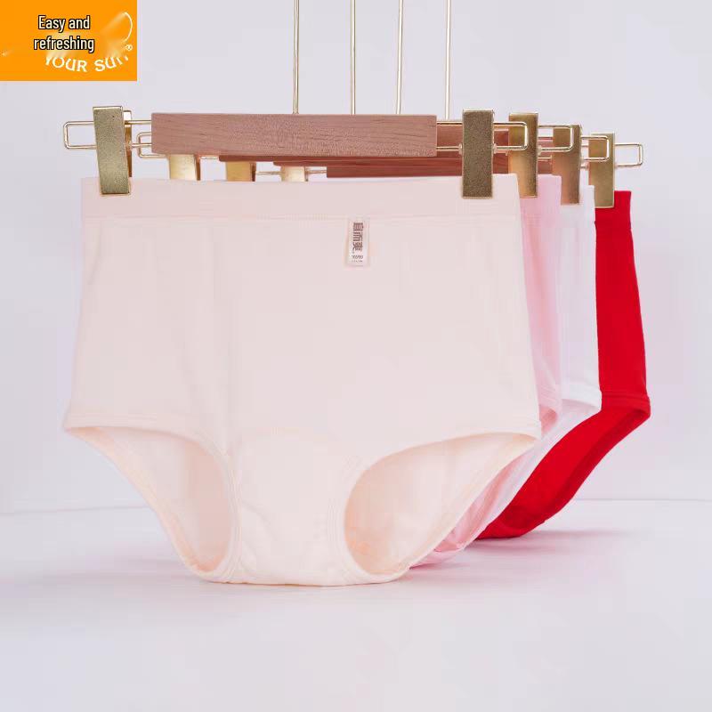 Yier Shuang Women's Plus Size Cotton Ribbed High-Waist Elastic Breathable Triangle Panties