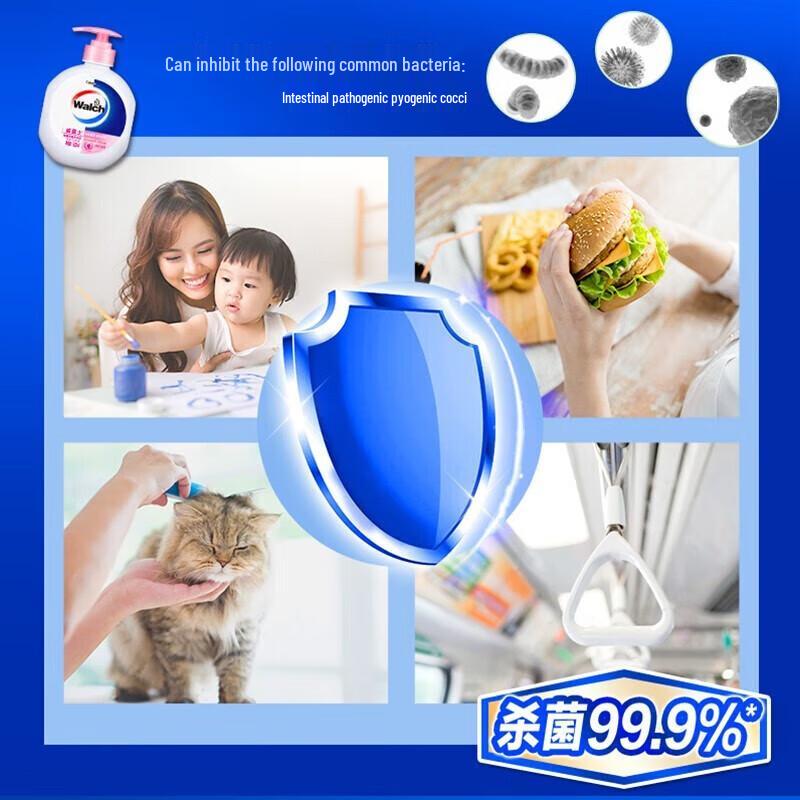 Walch Healthy Antibacterial Hand Sanitizer