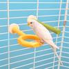 Bird Perch Nature Molar Stand for Parrots Conure Supplies Budgies Grinding Scratchers for Small Medium Parrots Toy