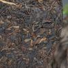 Big Snow Shang Pin Golden Ribbon * 2017 Yunnan Xiaguan Puer Ripe Pu-erh Tea 357g