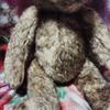 [USED] Terumi Yoshikawa Teddy Bear Charlie