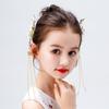 Long Tassel Butterfly Hairpin Fashion Accessories Hair Clip Jewelry Hair  Styling Accessories