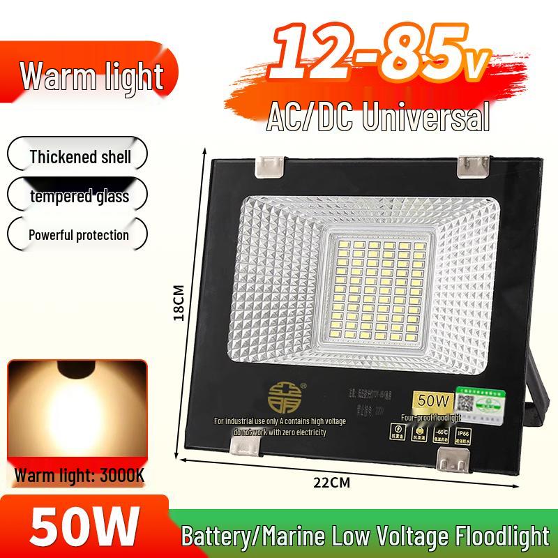 Yaming Marine LED Floodlight: 100W Outdoor Waterproof Spotlight for 12V/24V/36V DC Battery