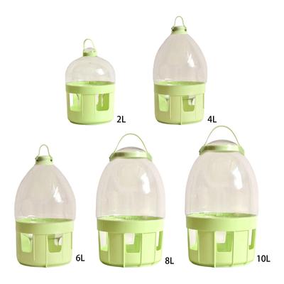 Pássaros – Louça para aves