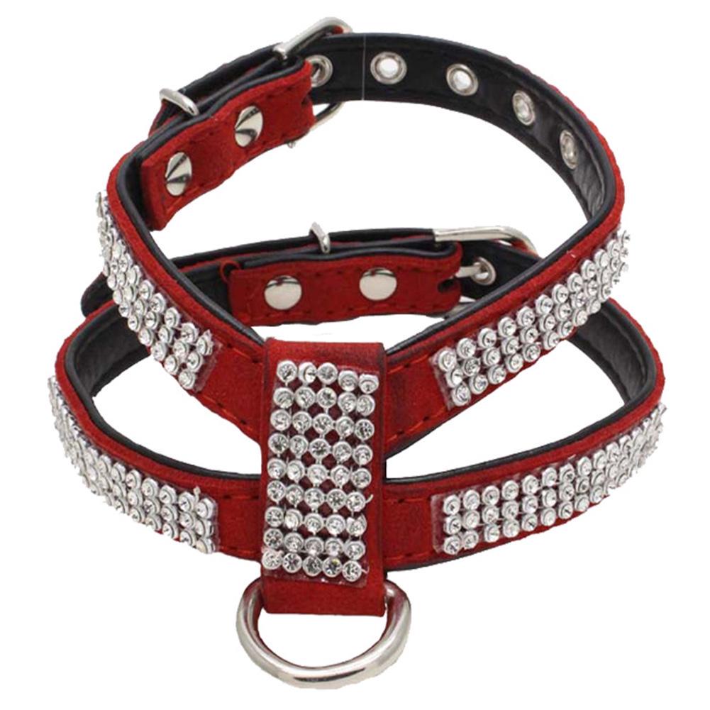 dog harness store