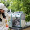 Pet Bag  Portable Portable Backpack  Large Space  Cat and Dog Supplies Pet Bag