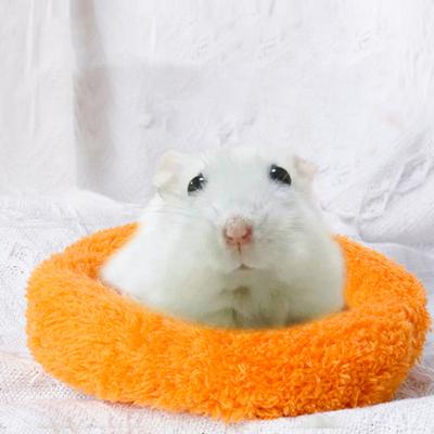 Nido per criceti, lavabile a mano, caldo, in peluche, per animali domestici, piccolo nido per animali, tappetino per criceti e gattini