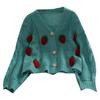 Korean Style Strawberry Embroidered 3D Crochet Cardigan - Women's Chunky Knit Long Sleeve Autumn 2026
