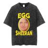 Vintage Washed Shape of You The Music of Ed Sheeran Tour 2026 T Shirts Men Women Cotton Casual Short Sleeve Oversized Tee Shirt
