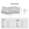SANWA GSKBERGW6W-SET Wireless Keyboard and Mouse Set