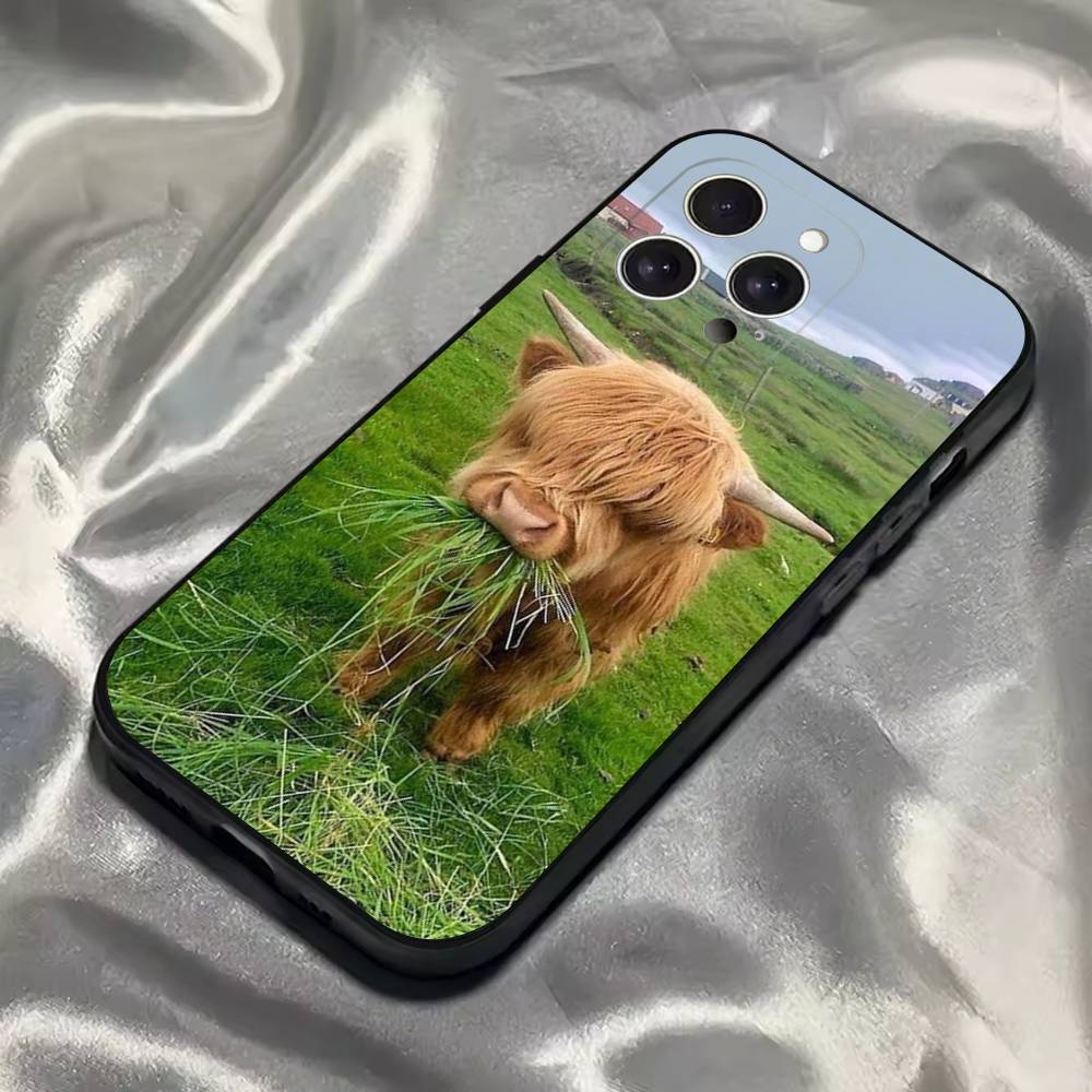 

Cute Highland Cow Phone Case For iPhone 16,15,14,13,12,11,Pro,Max,Plus,X,XS,SE4,E,Mini,Soft Black Case iPhone16e