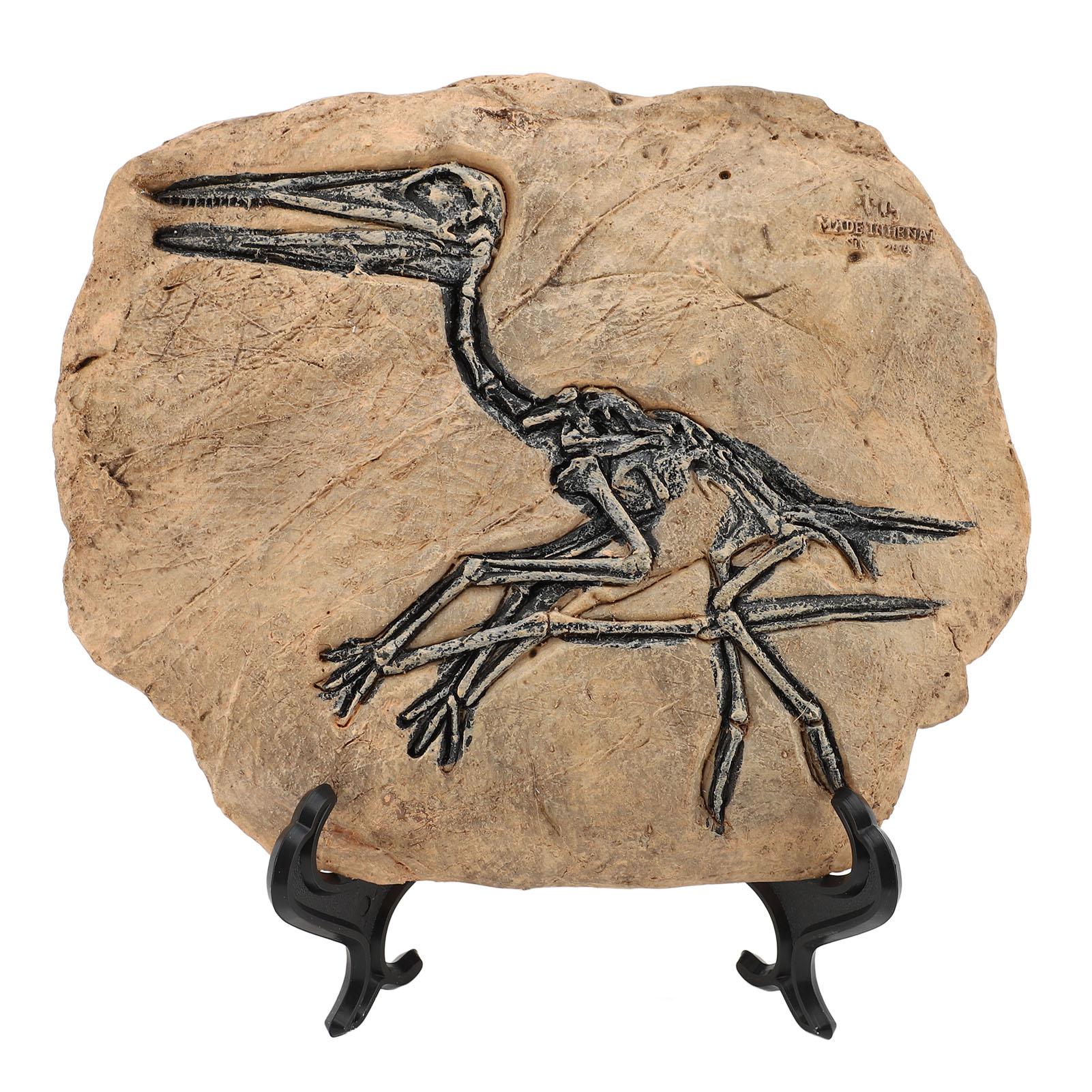 

Статуя динозавра из смолы, имитация скелета птерозавра, скульптура, настольный дисплей, декоративное ремесло