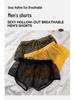 Herren Mesh Flache Beine Atmungsaktiv Hohl Transparent Hausshorts