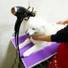 Flexible Household Black Hair Dryer Holder Drying Fixing Frame Pet Accessories Hair Dryer Stand