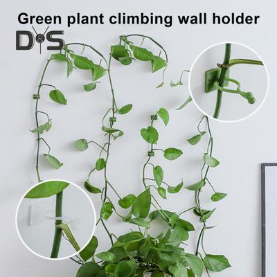 Support mural pour plantes grimpantes, fixation murale, crochet autocollant invisible, pour plantes grimpantes d'intérieur et d'extérieur