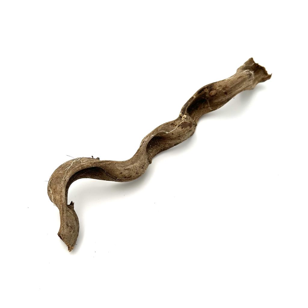 BioThai Liana 1-2cm / 25cm