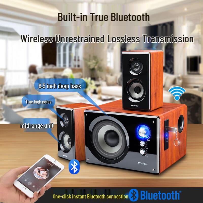 SANSUI 6.5-inch Wooden Subwoofer for TV & PC Karaoke