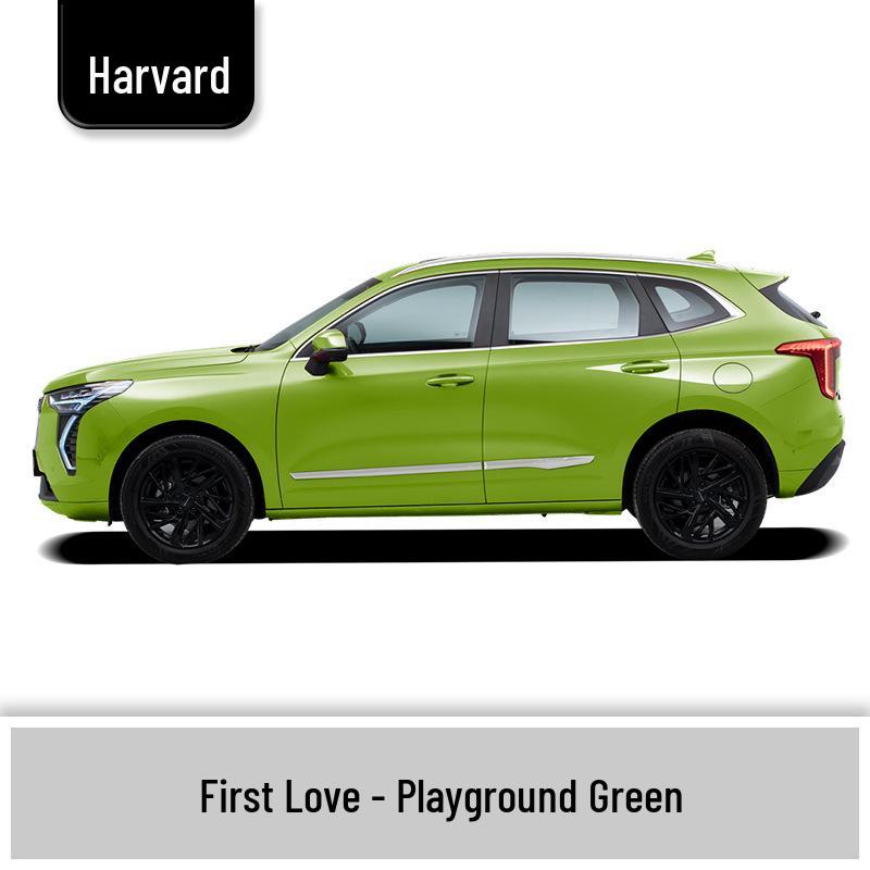 Haval First Love Touch-Up Pen: Scratch Remover for White, Pearl, Sky Blue, and Green Cars