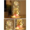 Glass Cover Gift Box Little Bear Rose