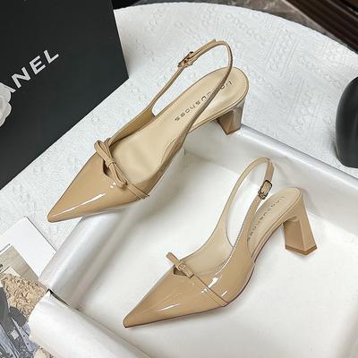 New Spring and Summer Pointed Thick Heel Foreign Style Women's Shoes Beautiful Fairy Style Temperament Single Shoes Workplace Versatile High Heels