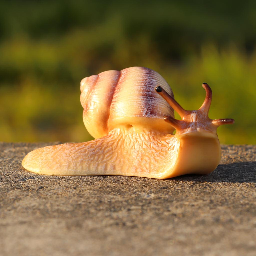 Realistic Snail Action Figure Toy - Collectible Animal Model, Educational Kids Gift