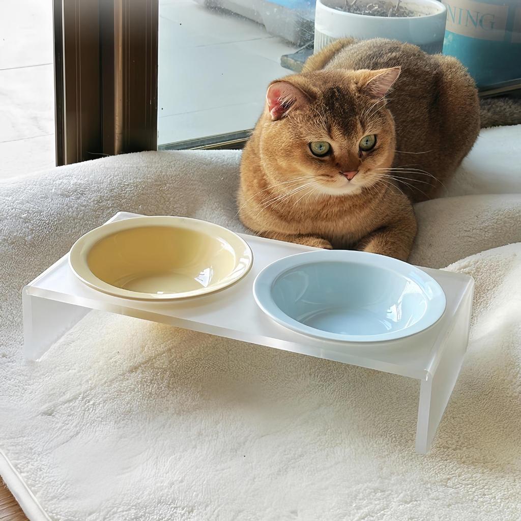 Ciotola per Animali in Ceramica Colorata Adorabile Facile da Pulire su Supporto Solido in Acrilico Anti Ribaltamento