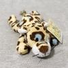 Serie di Magneti da Frigorifero Animali di Peluche Carini, Animali della Giungla Simulati Leoni/Tigri/Panda