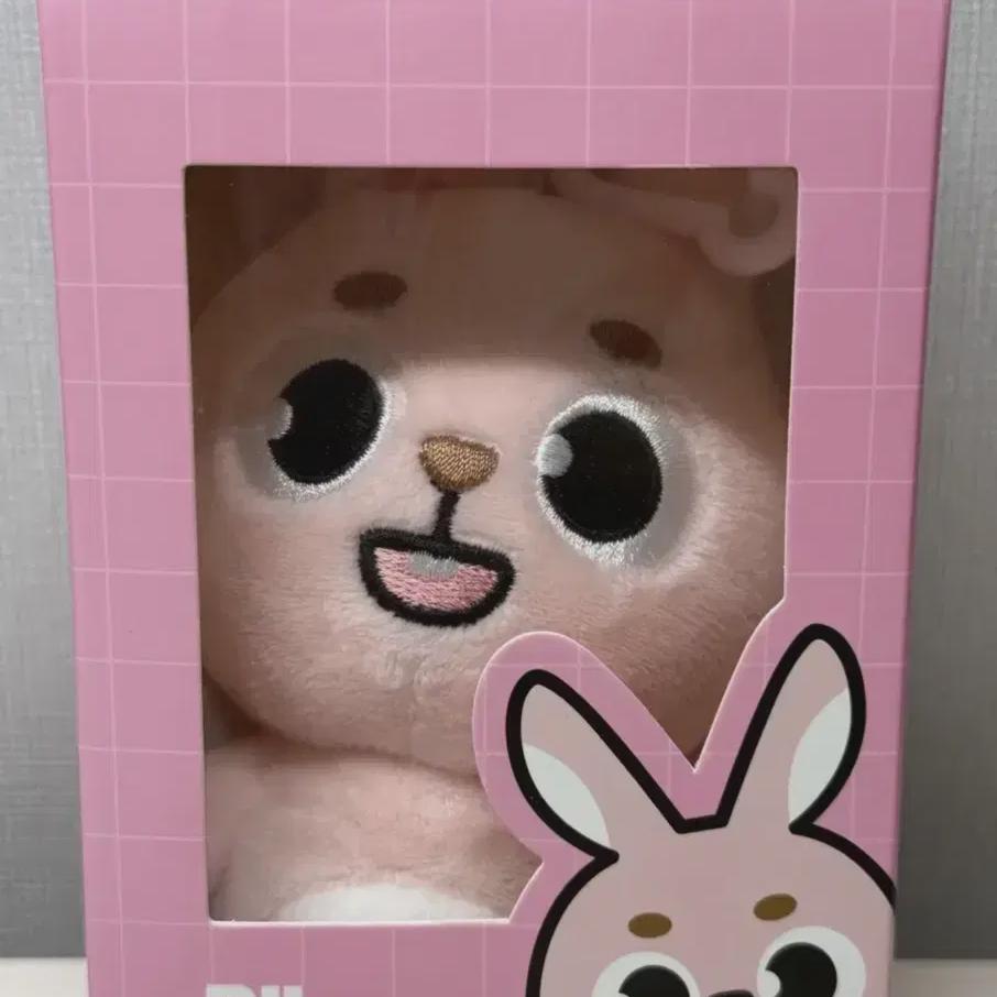 

24 Phil Day6 Denimals