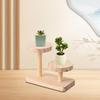 Solid Wood Display Stand Multi Tier Organizer Rack for Living Room Office Bedroom Home Decor and Storage