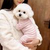 Dog German velvet warm four-legged clothes autumn and winter than bear teddy small dog cat pet bottoming shirt loungewear