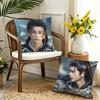Zhang Linghe Pillow Case Pattern Printed Pillowcase For Living Room Sofa Cushion Cover