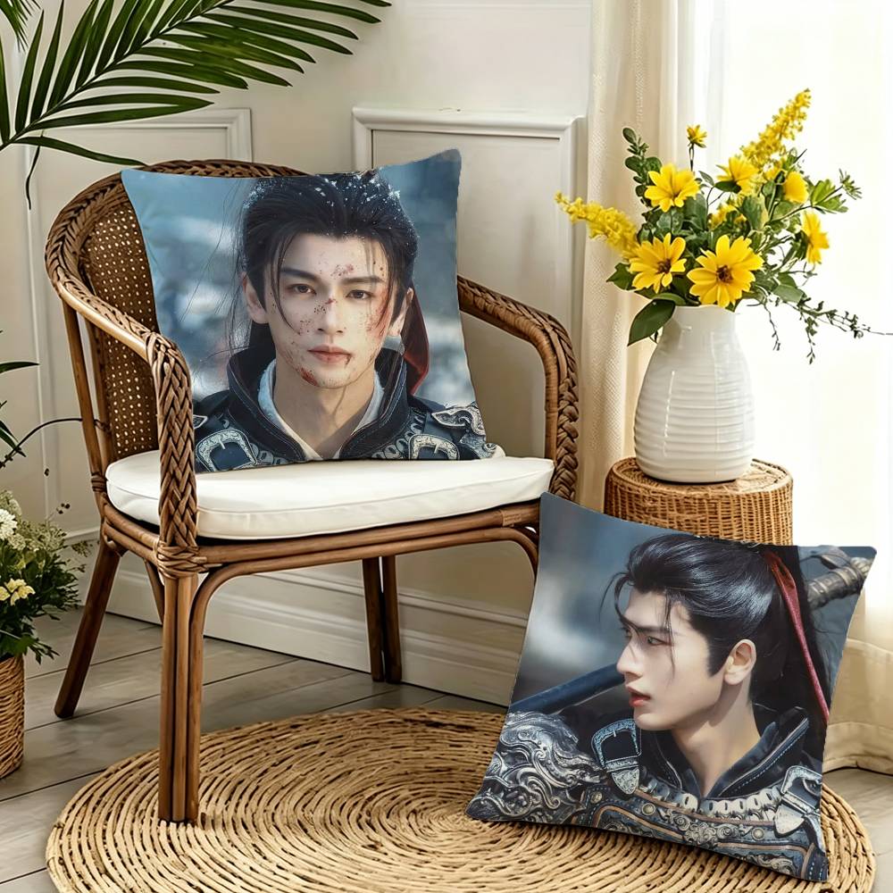 Tinika Chen Unisex Zhang Linghe Pillow Case Pattern Printed Pillowcase For Living Room Sofa Cushion Cover
