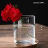 High Borosilicate Glass Hydroponic Vase & Desktop Planter - Straight Tube Design for Artistic Arrangements and Moss Ecosystem