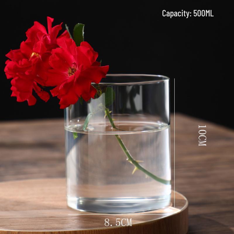High Borosilicate Glass Hydroponic Vase & Desktop Planter - Straight Tube Design for Artistic Arrangements and Moss Ecosystem