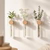 Vase Wall Mounted Planter Home Ornaments Flower Pot Hydroponic Planter Shelf  Living Room