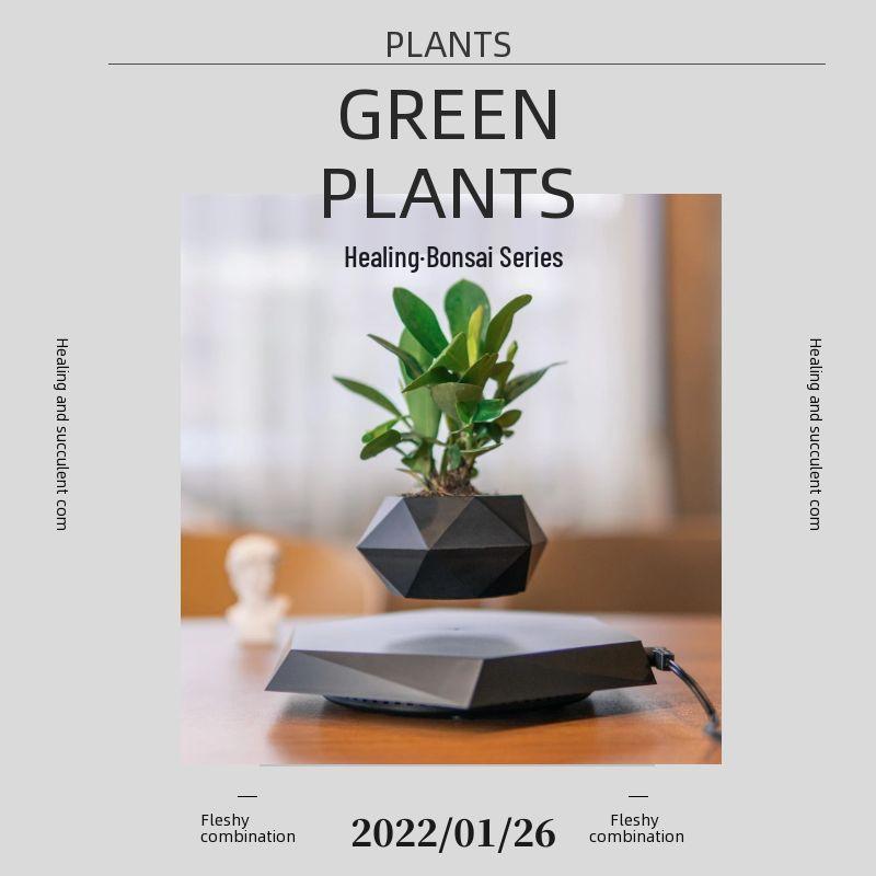 Magnetic Levitation Potted Plant: Creative Bonsai Handicraft Gift for Teacher's Day & Living Room Decor.