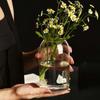 Simple Modern Glass Flower Vase Home Decoration Hydroponic Plant Bottle Desktop Decoration for Wedding Reception Family