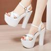15cm Kleine Größe 32-43 Mode Dicke Sohle Plateau Schuhe Sommer 2026 Damen Block High Heels Sandalen für Model Kleid Party