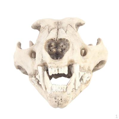 Resin Artificial Leopard Skull Halloween Decoration 11x17x11 Cm