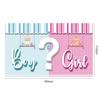 New model gender reveal banner for newborns, balloon decoration scene for celebrating the birth of the baby, flag hanging display