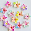 10 Pcs New Cartoon Colorful Dreamy Five-Petaled Flowers Resin Flat Back Scrapbook Diy Jewelry Hair Accessories Decor Crafts A92