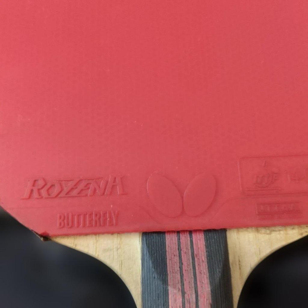 Used Nittaku Table Tennis Racket Violin Butterfly