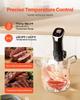 Sous Vide Präzisionskochgerät, 1100W Sous-Vide Kochmaschine, WIFI Immersion Circulator mit 10 voreingestellten Rezepten, LCD-Touchscreen, Schnellheizend, Präzise