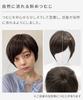 AQUADOLL Short Full Wig, High Tone, Ash, Blonde, Greige, Brown, Free Size, JBK. Japanese Black (wg346JBK)