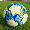Thickened Pu Champions League Football Adult Student Training Match Ball No. 5 Machine Sticker Ball