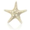 1 Stück Damen Haarnadel für Frauen Süß Schön Seestern Strand Seestern Stab Haarspange Geschenk Schmuck Damen Accessoires Haarschmuck