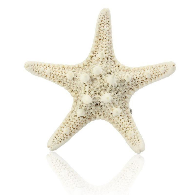 1 Stück Damen Haarnadel für Frauen Süß Schön Seestern Strand Seestern Stab Haarspange Geschenk Schmuck Damen Accessoires Haarschmuck