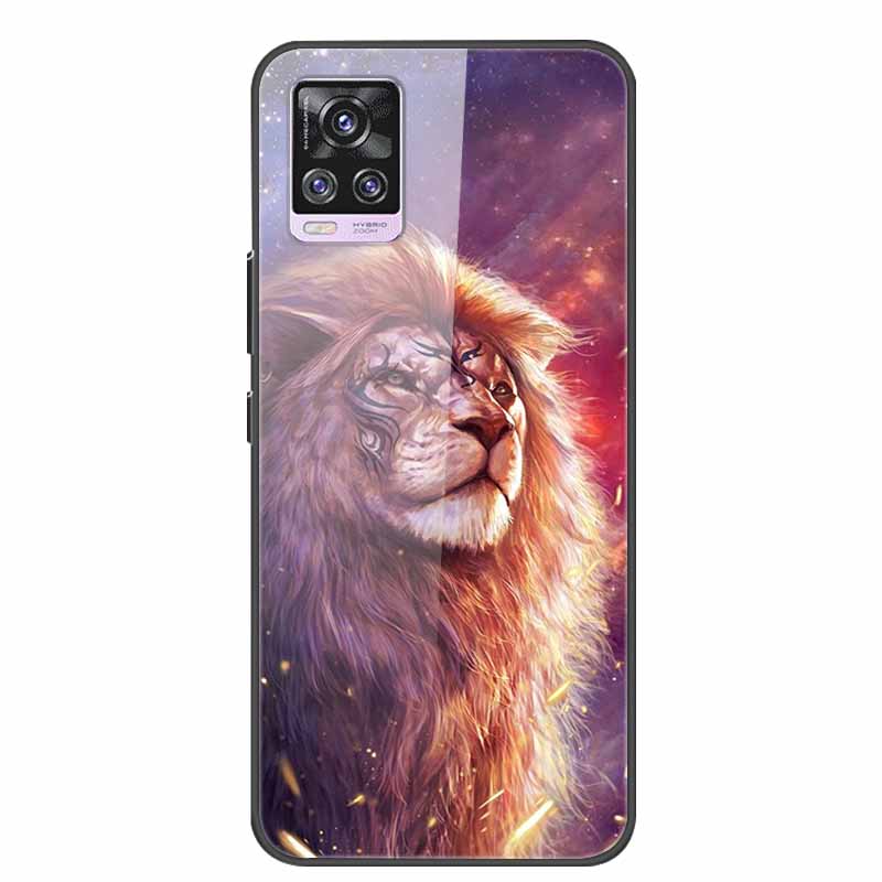 For Vivo V20 Pro Phone Case V 20 Pro Soft Bumper Tempered Glass Hard Back Covers Cases For Vivo V20 Pro Case 6.44" Coque Fundas