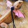 Colorful Wings Lizard Walking Leash for Small Pets